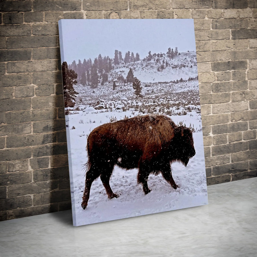 Bison in Snow Canvas Print | Winter Wildlife Photography | Premium Gallery Wrapped Canvas | Rustic Cabin Decor Gift for Nature Lover