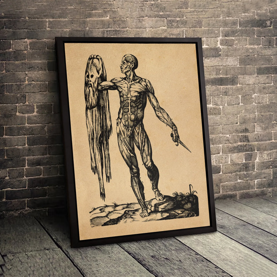 Andreas Vesalius Anatomical Poster | Vintage Medical Illustration Wall Art | Premium Gallery Canvas | Gift for Doctors & Science Lovers