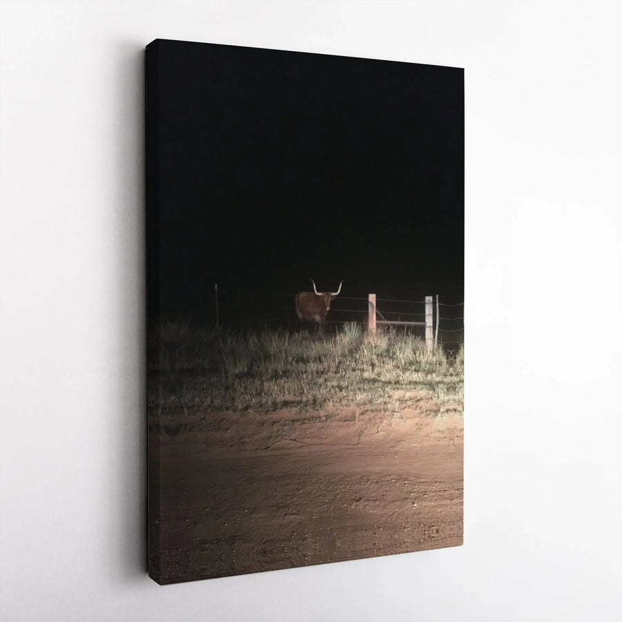 Texas Longhorn Canvas Print | Moody Western Photography Art | Premium Gallery Wrapped Canvas | Rustic Home Decor Gift