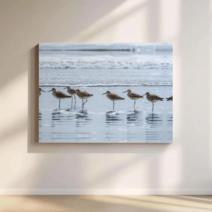 Coastal Shorebird Canvas Wall Art | Relaxing Ocean Beach Scene | Premium Fade-Resistant Gallery Print | Serene Nautical Home Decor Gift