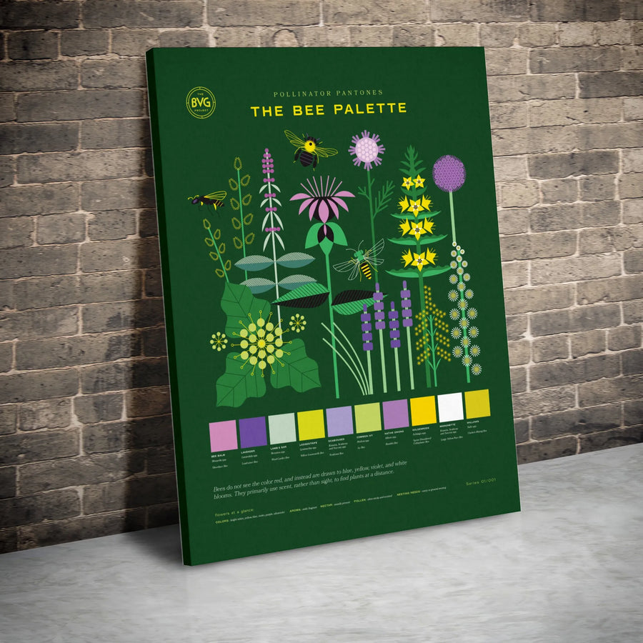Pollinator Plant Chart Canvas | The Bee Palette Botanical Infographic Art | Premium Gallery-Wrap Wall Decor | Nature Gift for Gardeners