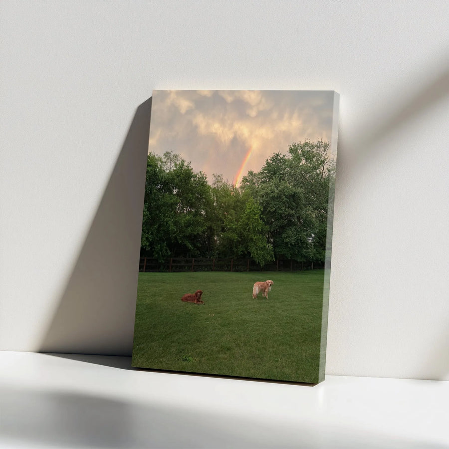 Golden Retriever Canvas Art | Rainbow Meadow Sunset Landscape | Premium 1.25 Inch Gallery Wrap | Peaceful Dog Lover Wall Decor Gift