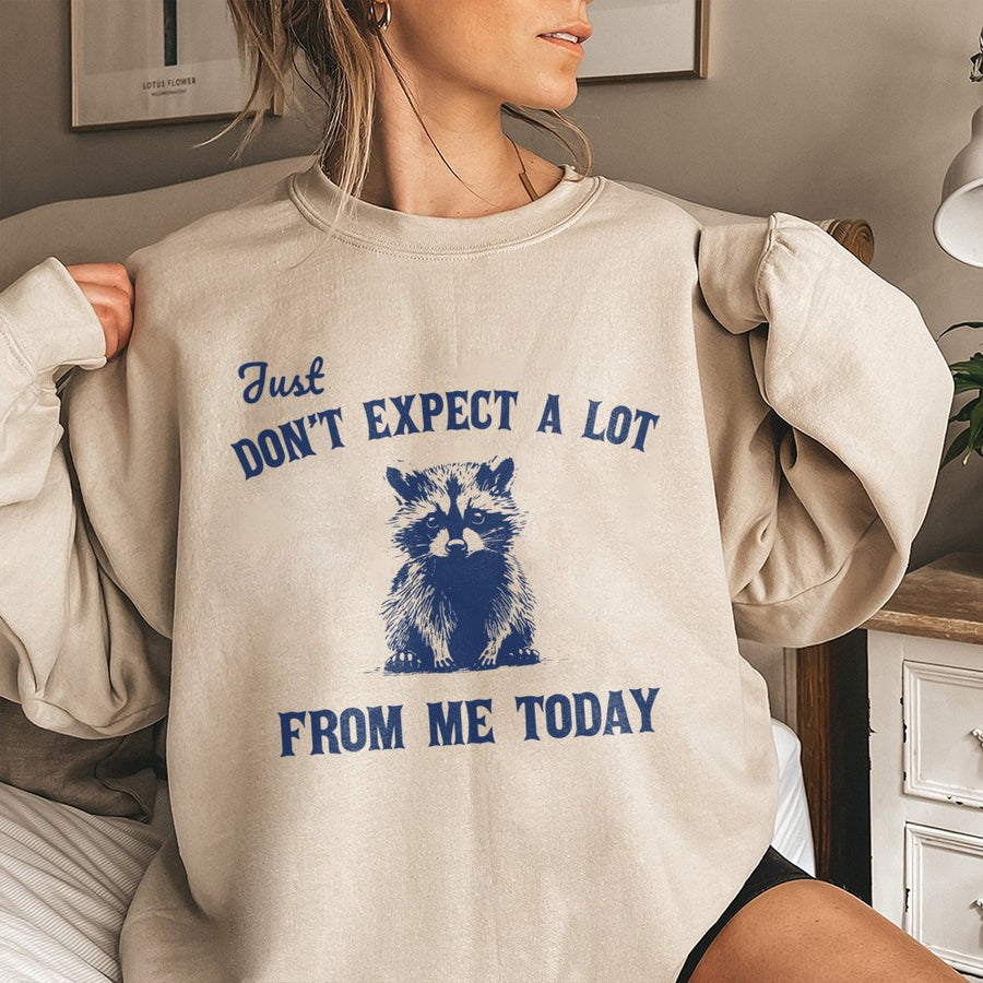 Funny Raccoon Sweatshirt | Just Don't Expect A Lot From Me Today Quote | Soft Cotton-Blend Graphic Pullover | Gift for Introverts and Lazy Days