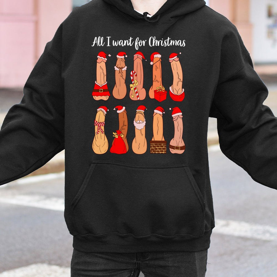 All I Want For Christmas Naughty Hoodie | Funny Adult Humor Graphic Sweatshirt | Premium Cotton-Blend Pullover | Hilarious Secret Santa Gift Idea