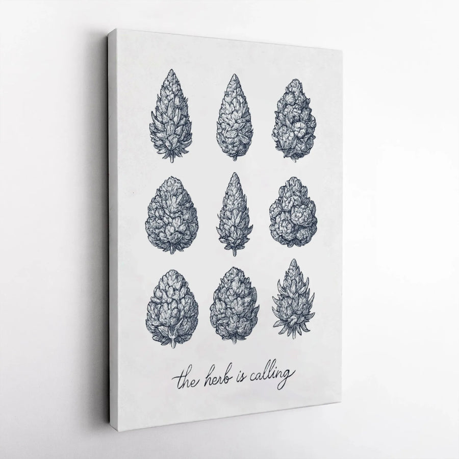 Botanical Cannabis Wall Art | The Herb Is Calling Sketch Illustration | Premium Gallery Wrapped Canvas | Modern Home Decor Gift