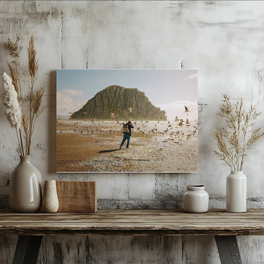 Morro Rock Beach Canvas Wall Art | Coastal Photographer & Seagulls Scene | Premium Fade-Resistant Print | California Landscape Decor Gift