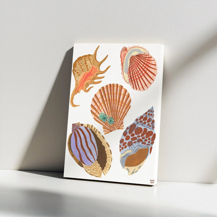 Seashell Canvas Wall Art | Illustrated Nautical Shells Print | Premium Gallery Wrapped Canvas | Modern Coastal Home Decor Gift