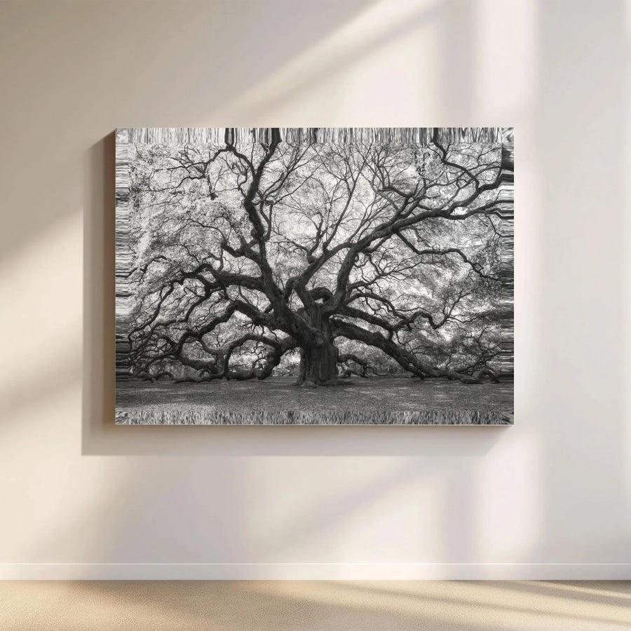 Ancient Oak Tree Canvas Wall Art | Black and White Glitch Aesthetic Print | Premium 1.25 Inch Gallery Wrap | Modern Home Office Decor Gift