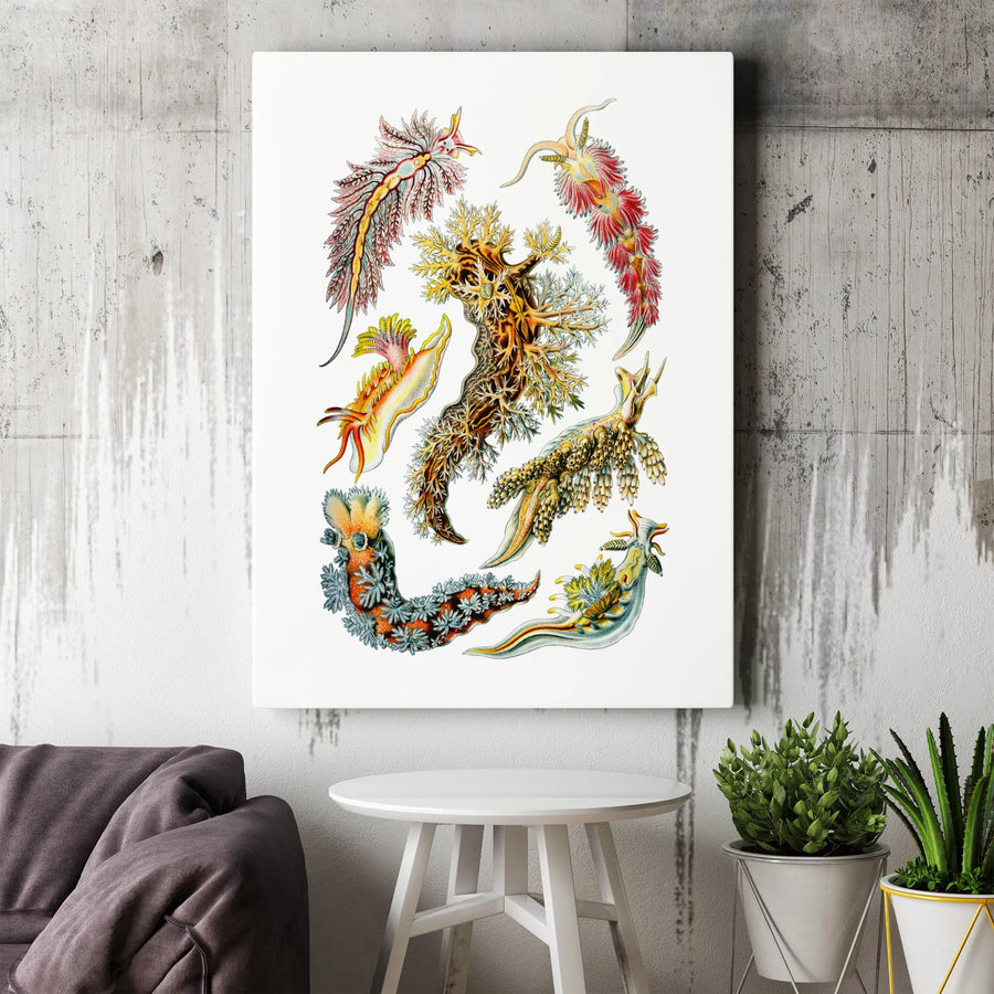 Nudibranch Wall Art Canvas | Vintage Marine Sea Slug Scientific Illustration | Premium Gallery Wrap Decor | Gift for Marine Biologist