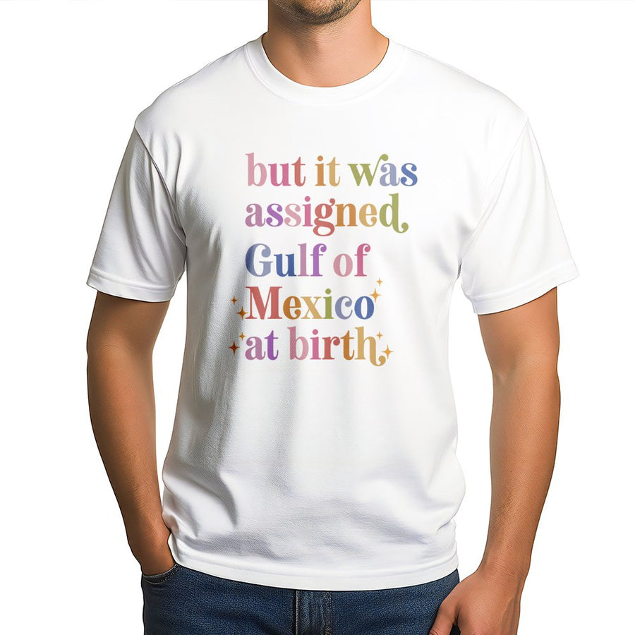 Gulf of Mexico Assigned At Birth T-Shirt | Retro Typography Humor | Premium Cotton Crewneck | Funny Geography Gift for Nature Lovers