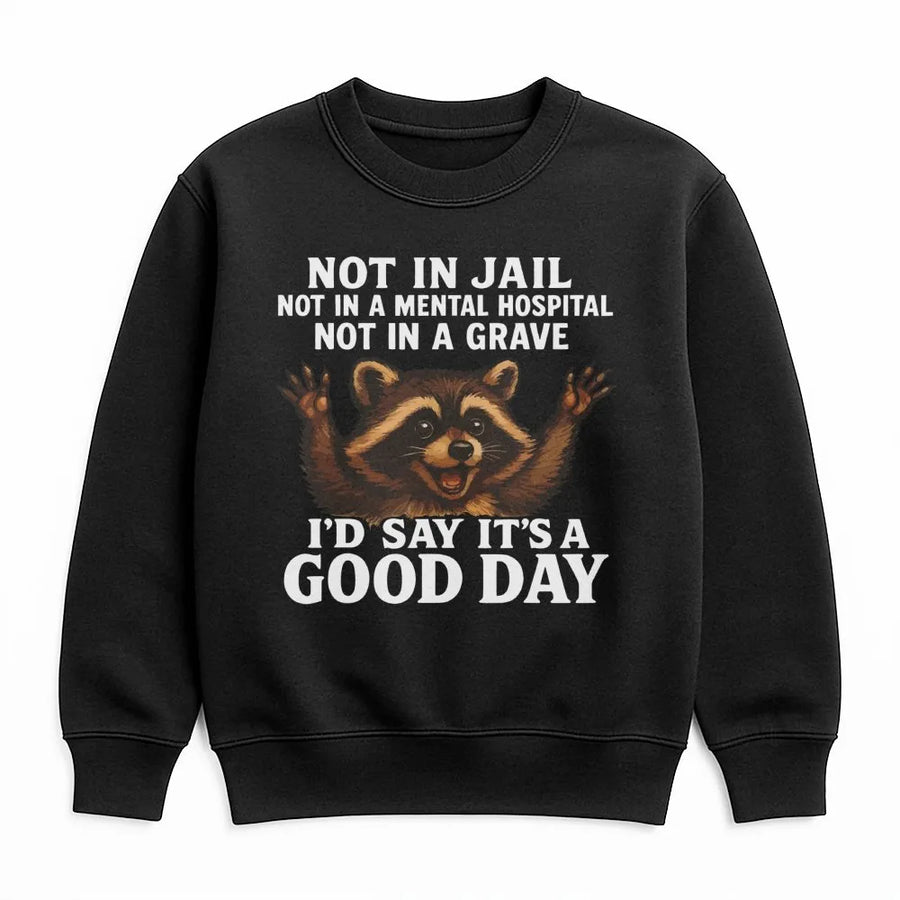 Funny Raccoon Sweatshirt | Not In Jail Mental Hospital Grave Humor | Premium Cotton Blend Crewneck | Sarcastic Gift For Men And Women