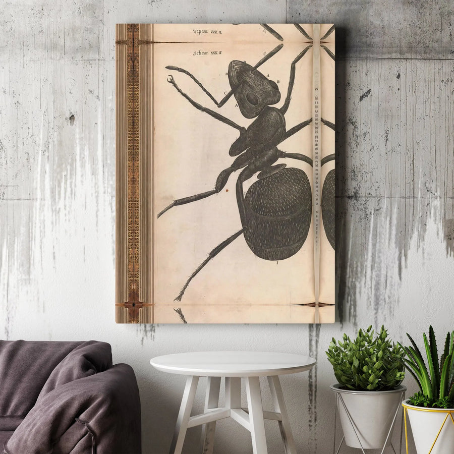Ant Scientific Illustration Canvas | Vintage Biological Anatomy Diagram | Premium Gallery-Wrapped Wall Art | Entomologist Office Decor Gift