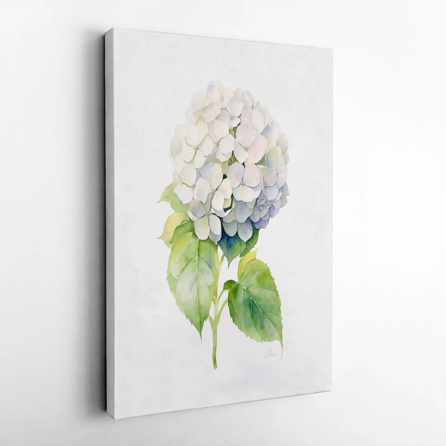 White Hydrangea Wall Art | Botanical Watercolor Flower Print | Premium Gallery-Wrapped Canvas | Elegant Floral Home Decor Gift