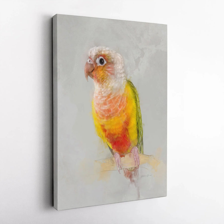 Green Cheek Conure Canvas Wall Art | Watercolor Parrot Portrait | Premium Gallery Wrapped Canvas | Gift for Bird Lover & Modern Home Decor