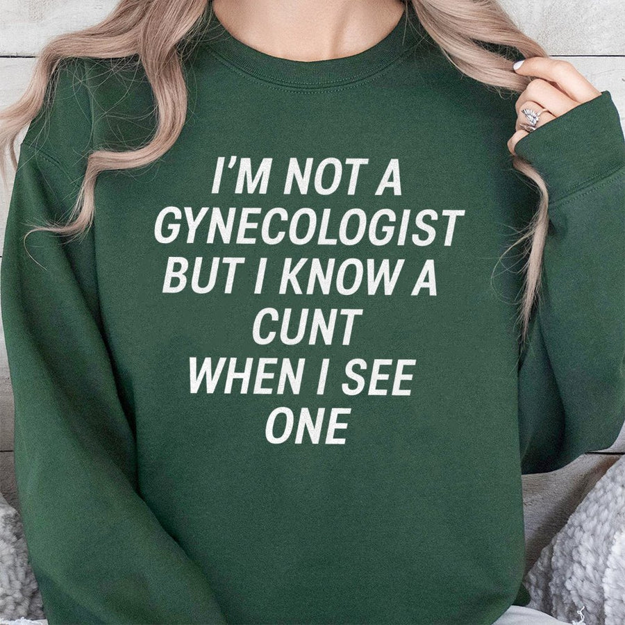 Sarcastic Quote Sweatshirt | Funny Rude Graphic Pullover | Premium Cotton Blend | Gift For Friends Who Like Offensive Humor