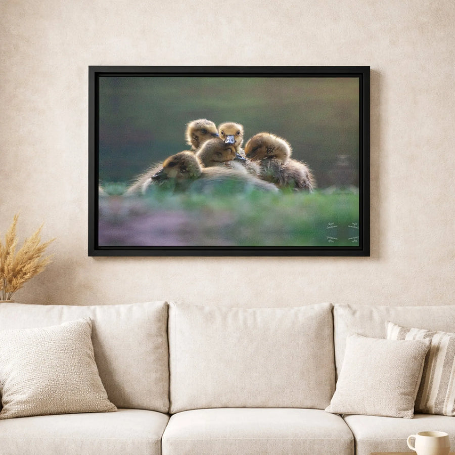 Baby Goslings Wall Art | Cute Fluffy Ducklings Huddle Print | Gallery-Quality 1.25-Inch Canvas | Rustic Farmhouse Nursery & Nature Home Decor Gift