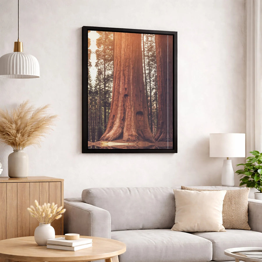 Giant Sequoia Redwood Forest Canvas Print | Sunlit Woodland Nature Wall Art | 1.25-inch Premium Gallery Wrap | Home Office Decor Gift