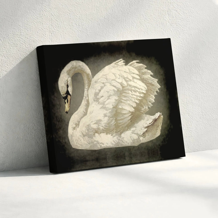 White Swan Wall Art | Moody Dark Aesthetic Canvas Print | 1.25 Inch Premium Gallery Wrap | Elegant Nature Home Decor Gift