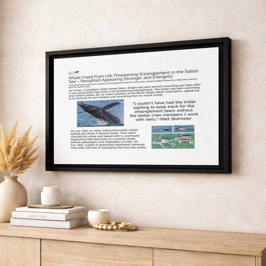 Humpback Whale Rescue Canvas Art | Salish Sea Wildlife Print | Premium Gallery-Wrapped 1.25" Profile | Marine Life Conservation Decor Gift