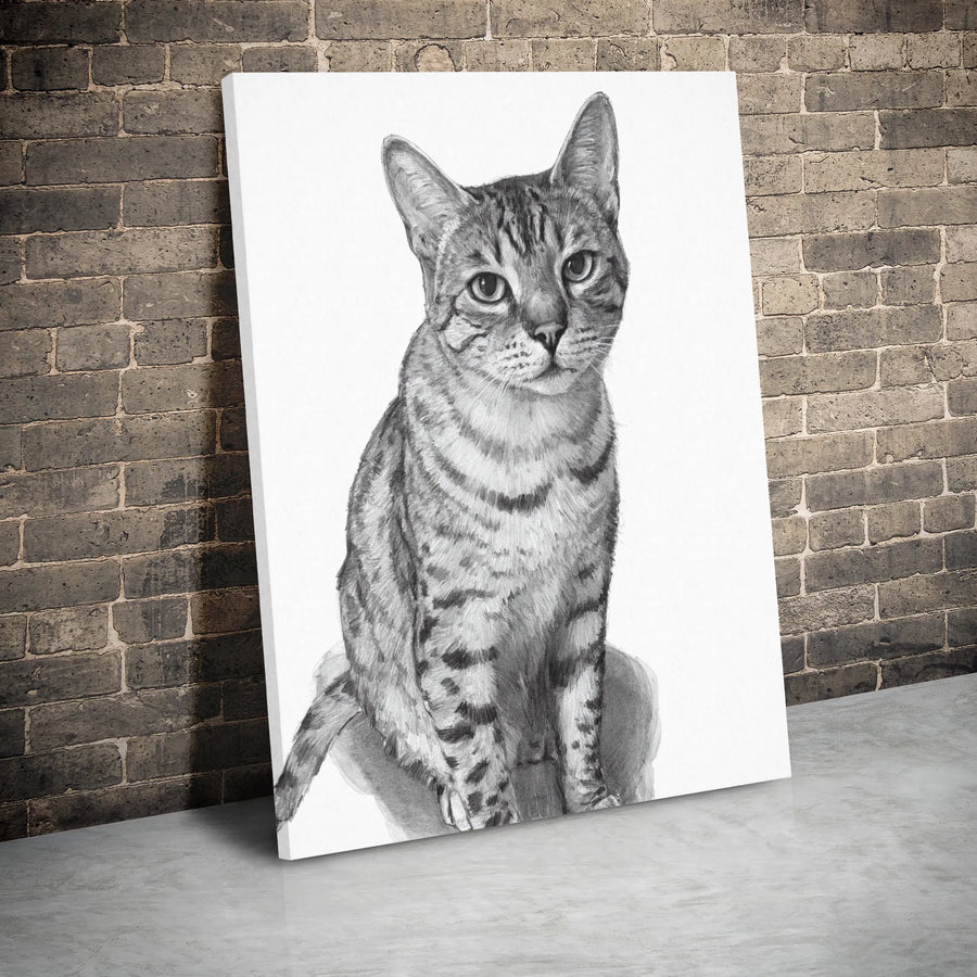 Tabby Cat Portrait Canvas Art | Realistic Pencil Sketch Drawing | 1.25 Inch Gallery Wrap | Minimalist Animal Wall Decor for Pet Lovers