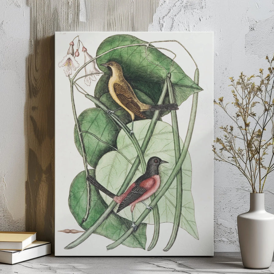 Vintage Bird Botanical Canvas Wall Art | Ornithological Scientific Illustration | Gallery Wrap Premium Print | Nature Lover Gift Home Decor