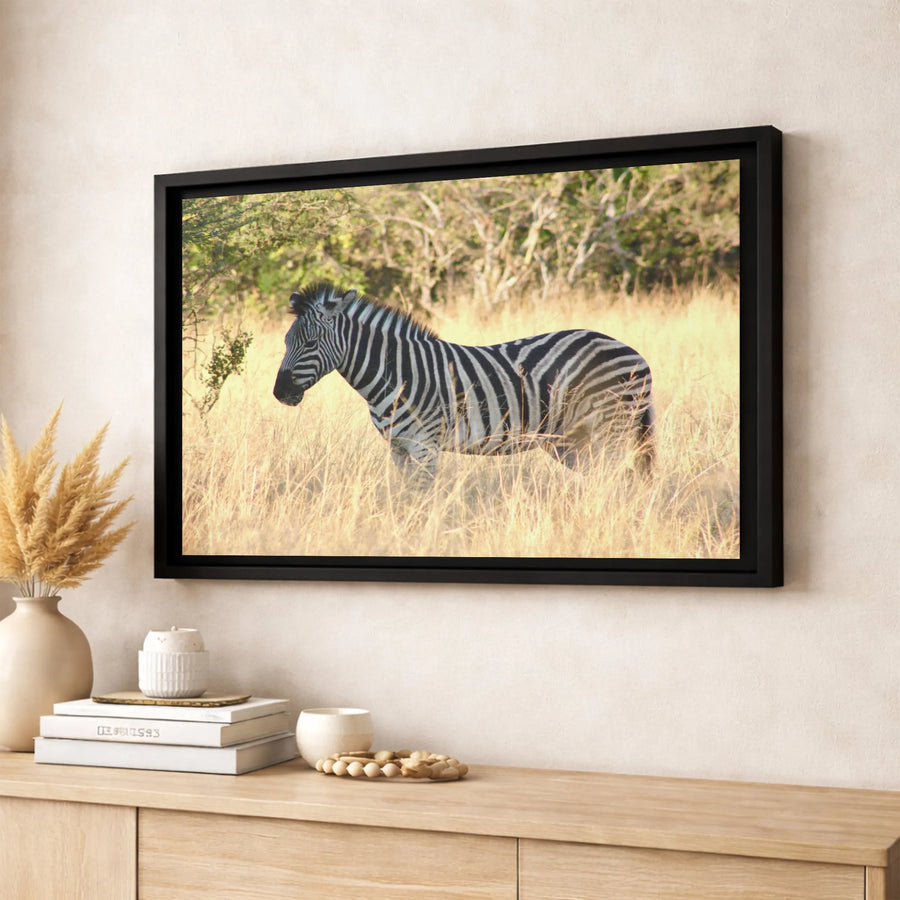 Zebra Canvas Wall Art | African Savannah Wildlife Print | Premium Gallery Wrapped 1.25 Inch Profile | Modern Home Decor Gift