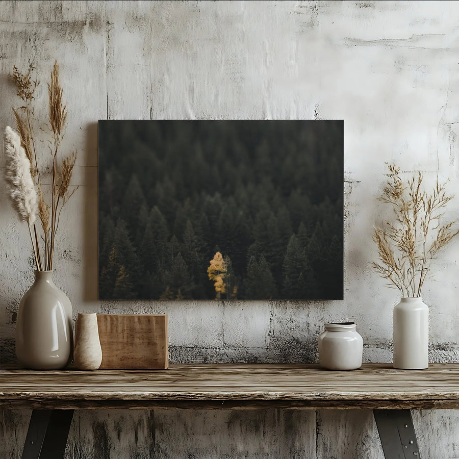 Lone Wolf Golden Tree Canvas Wall Art | Moody Forest Photography Print | Premium Gallery Wrap Canvas | Modern Office & Living Room Decor