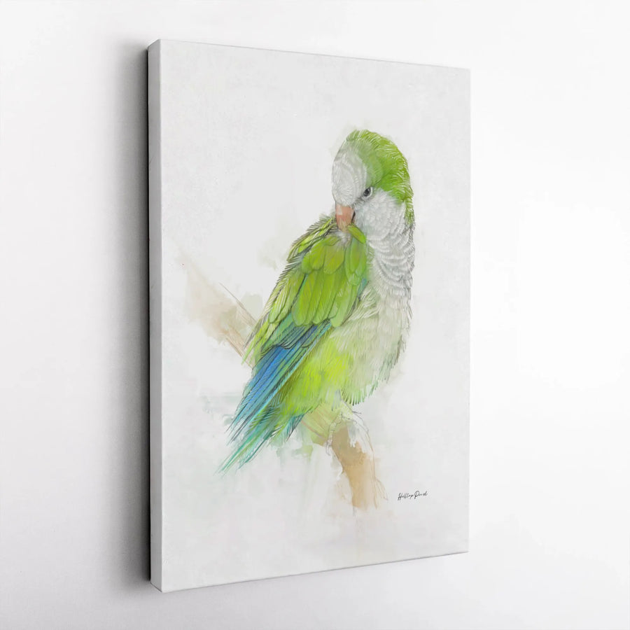 Quaker Parrot Canvas Wall Art | Watercolor Green Monk Parakeet Print | Gallery Quality 1.25 Inch Profile | Bird Lover Gift Home Decor