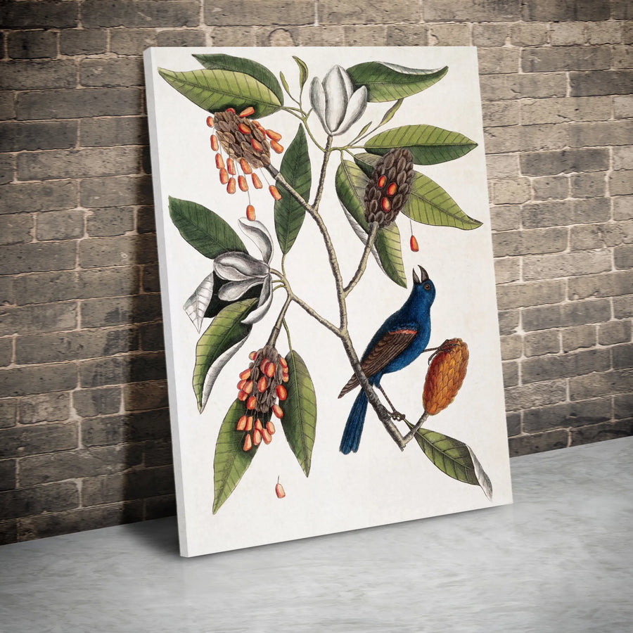 Vintage Botanical Bird Canvas Art | Antique Magnolia & Blue Bird Illustration | Premium Gallery Wrapped Canvas | Collector's Nature Wall Decor Gift