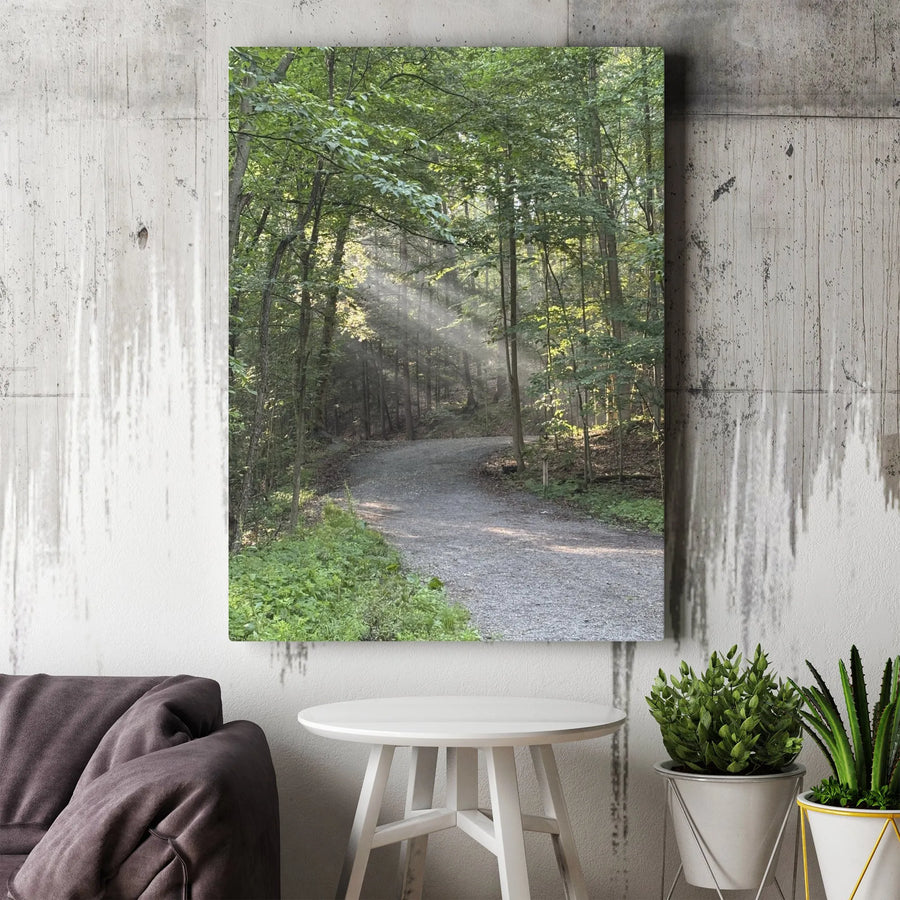 Forest Path Canvas Wall Art | Sunlight Through Trees Woodland Scenery | Premium Gallery Wrapped Canvas | Nature Lover Gift for Living Room & Office Decor