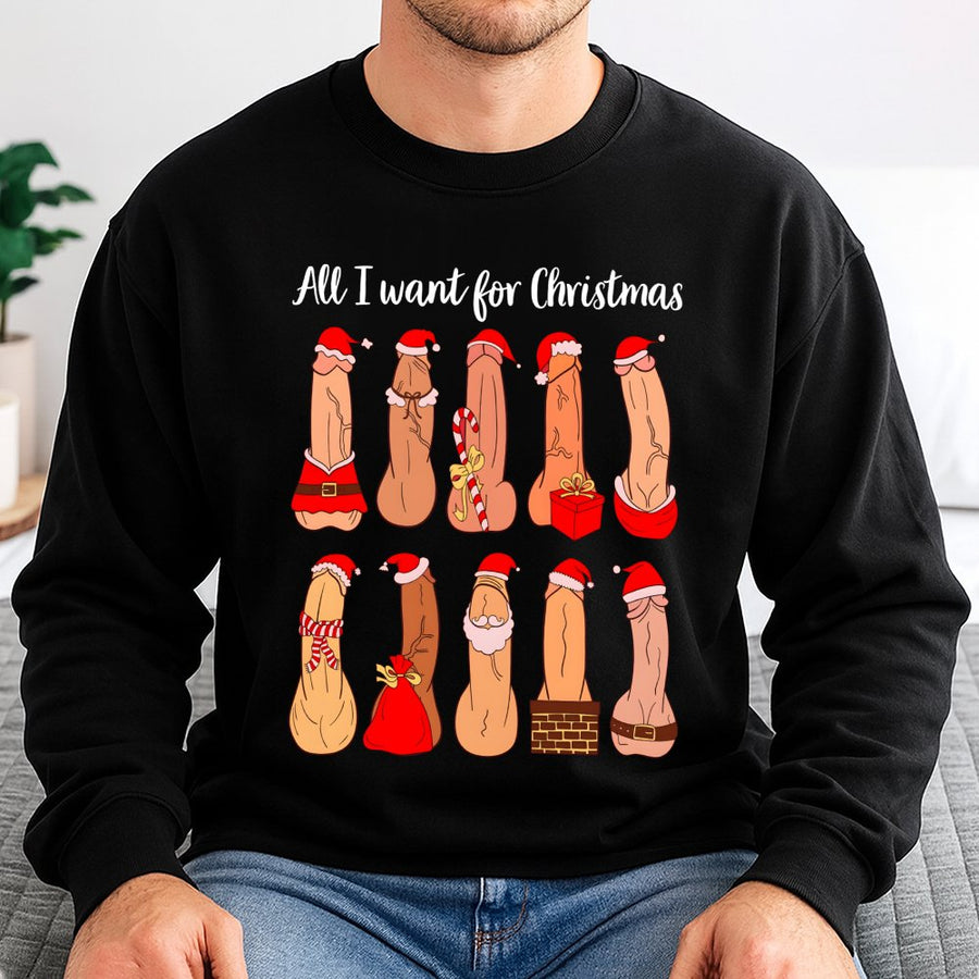 All I Want For Christmas Funny Adult Sweatshirt | Naughty Holiday Graphic | Premium Cotton Blend | Gift For Him or Her