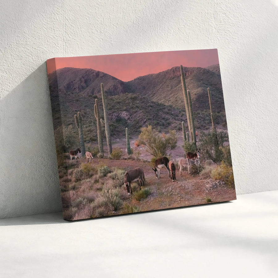 Arizona Desert Canvas Art | Wild Burros and Saguaro Cacti Landscape | Premium Fade-Resistant Print | Southwestern Home Decor Gift