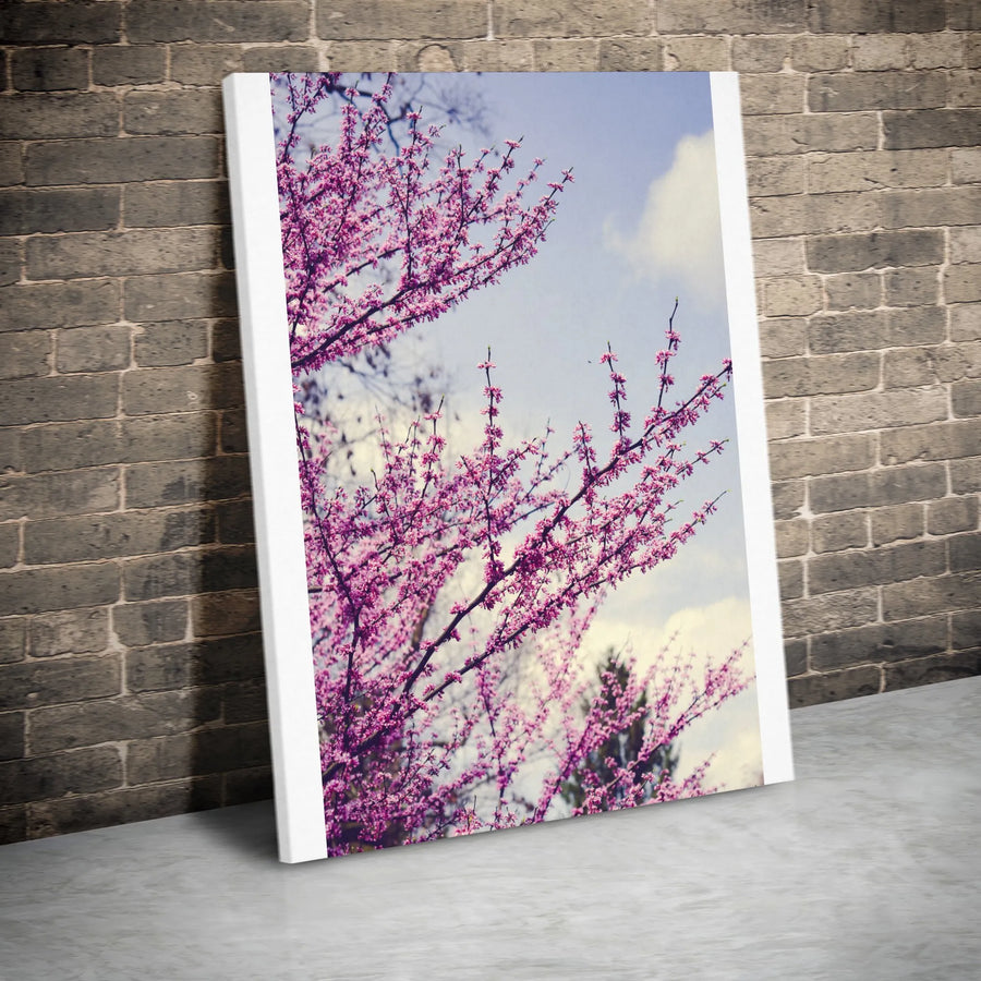 Redbud Tree Vertical Canvas Print | Vintage Spring Blossom Photography | Premium 1.25" Thick Gallery Wrap | Botanical Wall Art Gift for Modern Home Decor