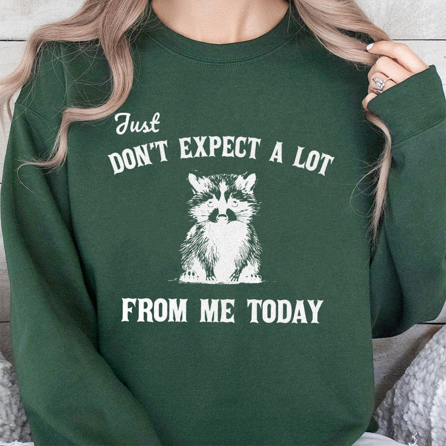 Funny Raccoon Sweatshirt | Don't Expect A Lot From Me Today Quote | Premium Cotton Blend | Gift For Introverts And Animal Lovers