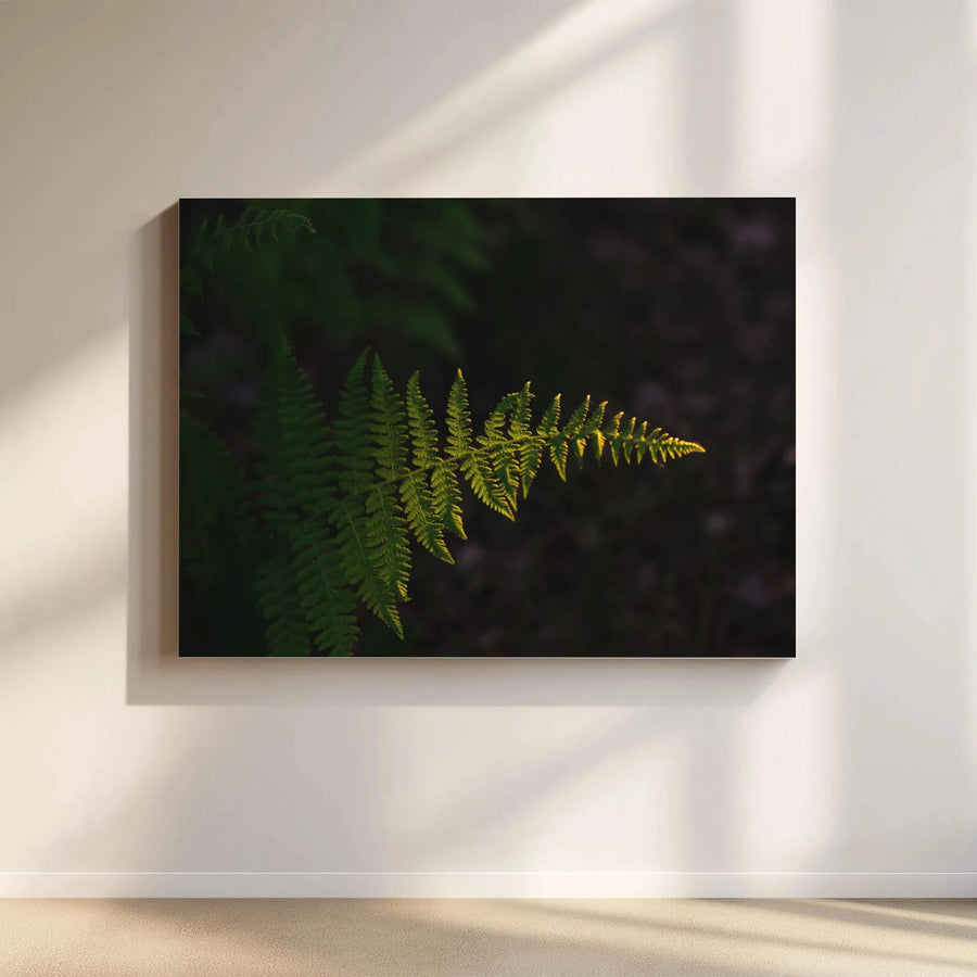 Sunlit Fern Canvas Wall Art | Moody Forest Botanical Print | Gallery Quality 1.25" Profile | Nature Lover Home Decor Gift