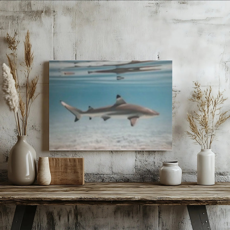 Blacktip Reef Shark Canvas Wall Art | Underwater Ocean Photography | Premium Fade-Resistant Print | Coastal Beach House Decor & Ocean Lover Gift