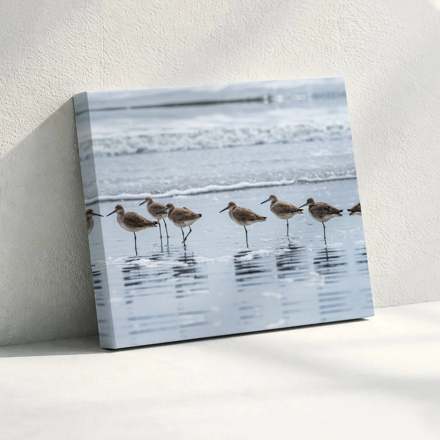 Coastal Shorebird Canvas Wall Art | Relaxing Ocean Beach Scene | Premium Fade-Resistant Gallery Print | Serene Nautical Home Decor Gift