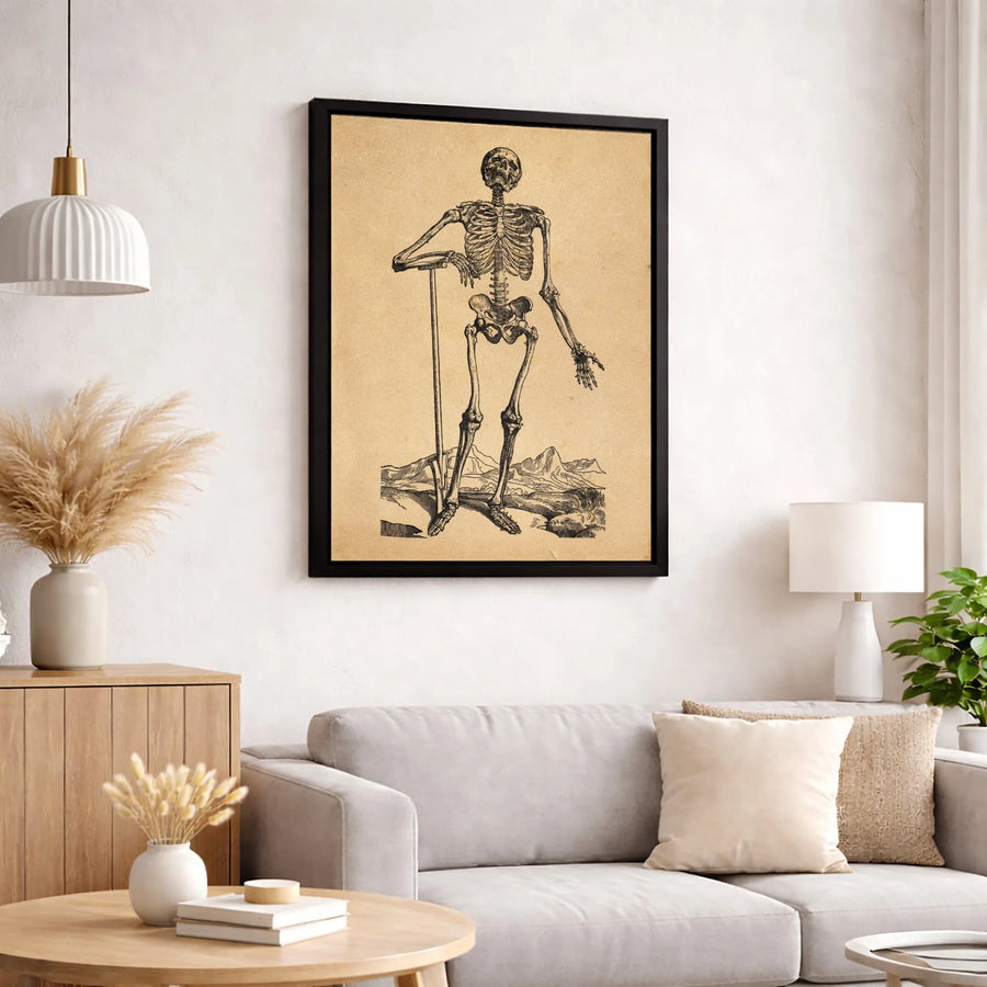 Vintage Anatomical Skeleton Canvas Art | Antique Medical Illustration Decor | Premium Gallery-Wrapped Print | Gothic Home & Office Gift