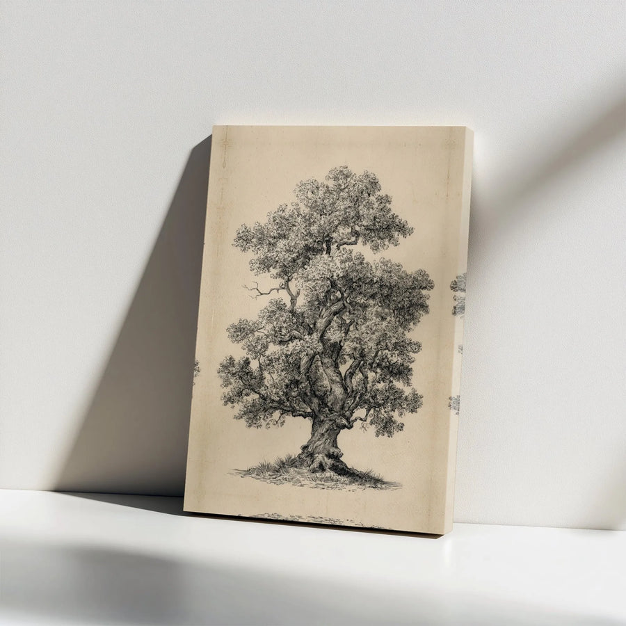 Vintage Oak Tree Sketch Canvas Wall Art | Botanical Charcoal Drawing Print | 1.25” Gallery Wrap Premium Decor | Rustic Nature Lover Gift