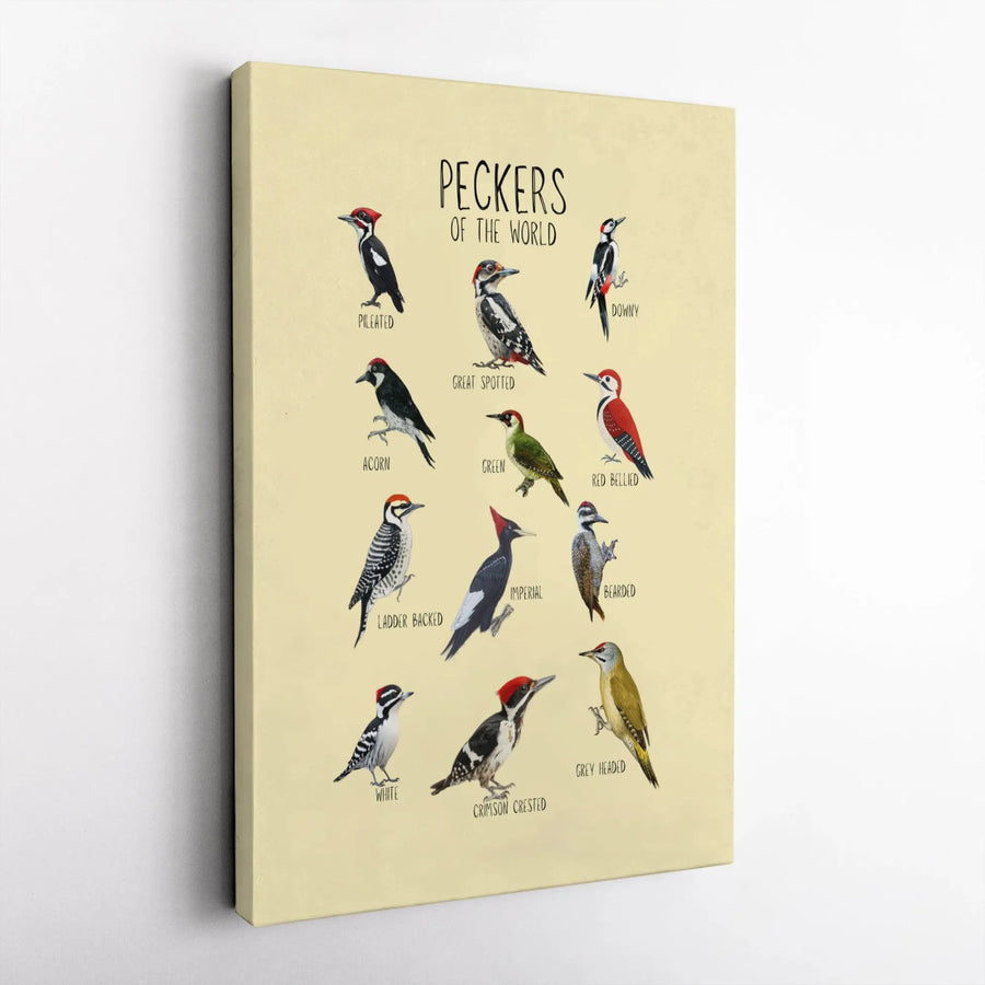 Woodpecker Identification Chart Canvas | Peckers Of The World Nature Print | 1.25" Gallery Wrap Premium Decor | Unique Gift For Bird Watchers