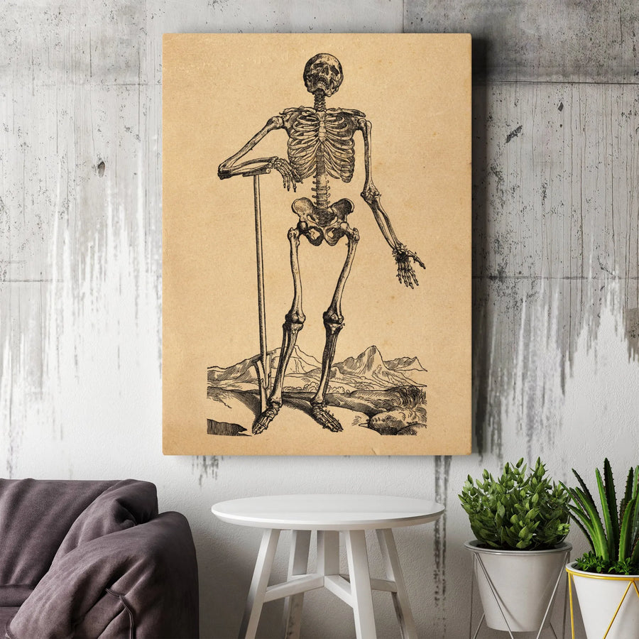 Vintage Anatomical Skeleton Canvas Art | Antique Medical Illustration Decor | Premium Gallery-Wrapped Print | Gothic Home & Office Gift