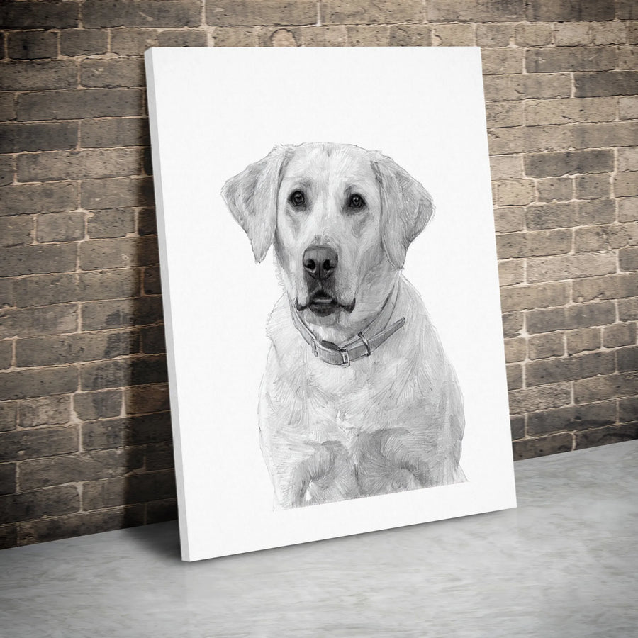 Labrador Retriever Canvas Print | Pencil Sketch Dog Wall Art | Premium Gallery Wrap Decor | Gift for Dog Lovers and Labrador Owners