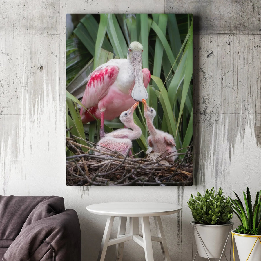 Roseate Spoonbill with Chicks Canvas Wall Art | Vibrant Wildlife Photography | Premium Gallery Print | Gift for Bird Lover & Nature Home Decor