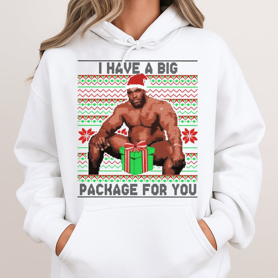 Funny Meme Ugly Christmas Hoodie | Big Package Holiday Humor Design | Cotton-Poly Blend Sweatshirt | Adult Secret Santa Gag Gift