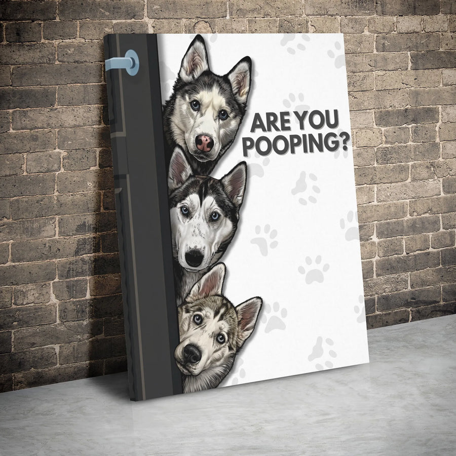 Siberian Husky Wall Art | Are You Pooping Funny Dog Sign | Premium 1.25 Inch Gallery Wrap Canvas | Gift For Dog Lovers & Bathroom Decor