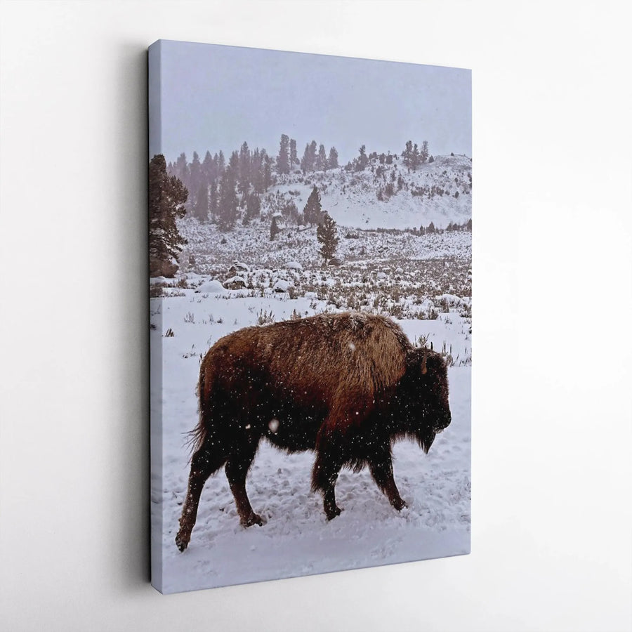 Bison in Snow Canvas Print | Winter Wildlife Photography | Premium Gallery Wrapped Canvas | Rustic Cabin Decor Gift for Nature Lover