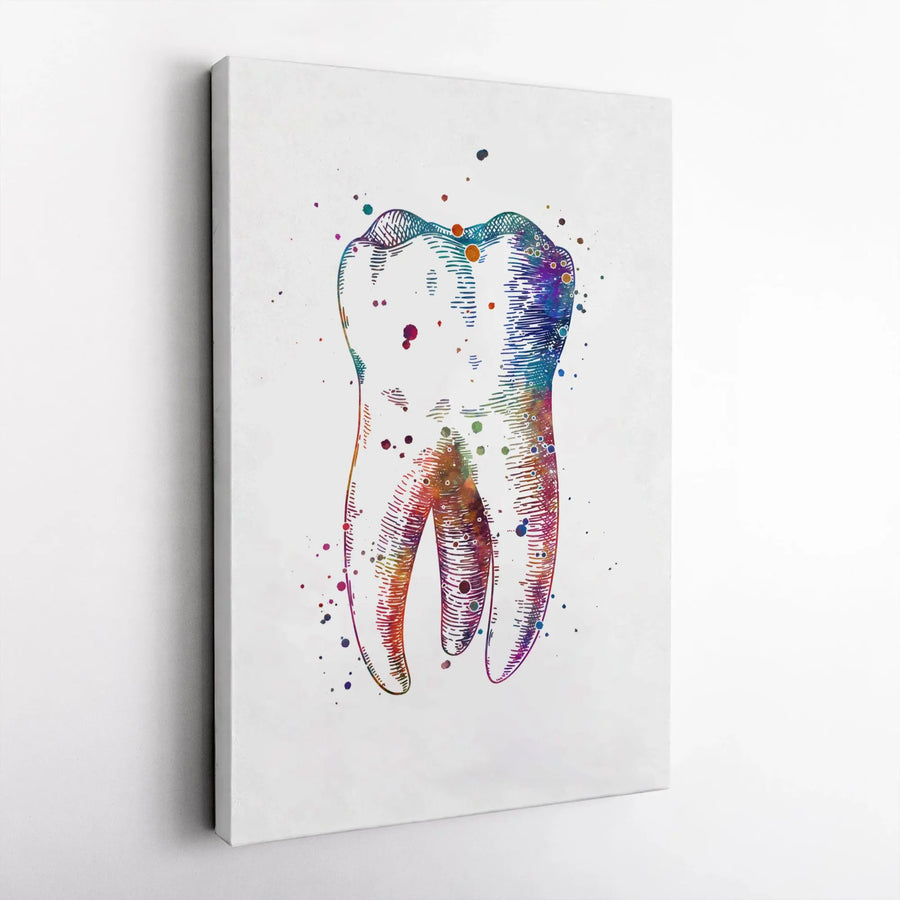 Anatomical Tooth Canvas Wall Art | Colorful Watercolor Illustration | Premium High-Resolution Print | Dentist Office Decor Gift