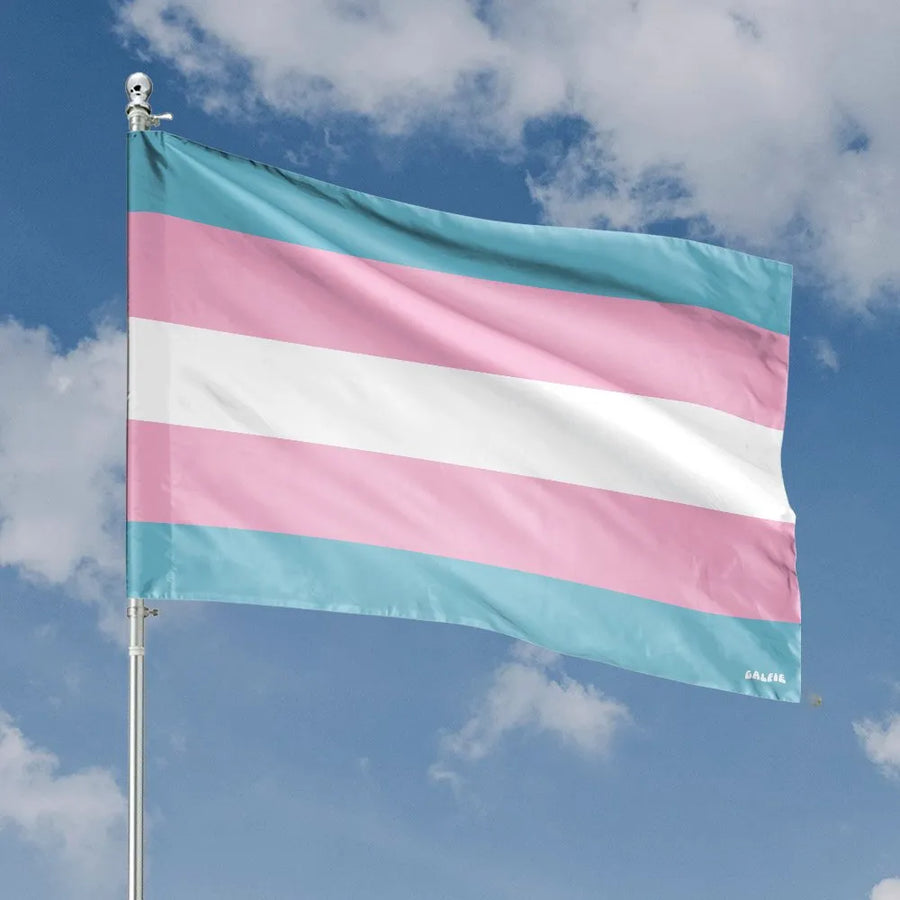 Transgender Pride House Flag | Double-Sided Pink Blue White Stripes | Premium Weather-Resistant Polyester | LGBTQ+ Ally Support Gift