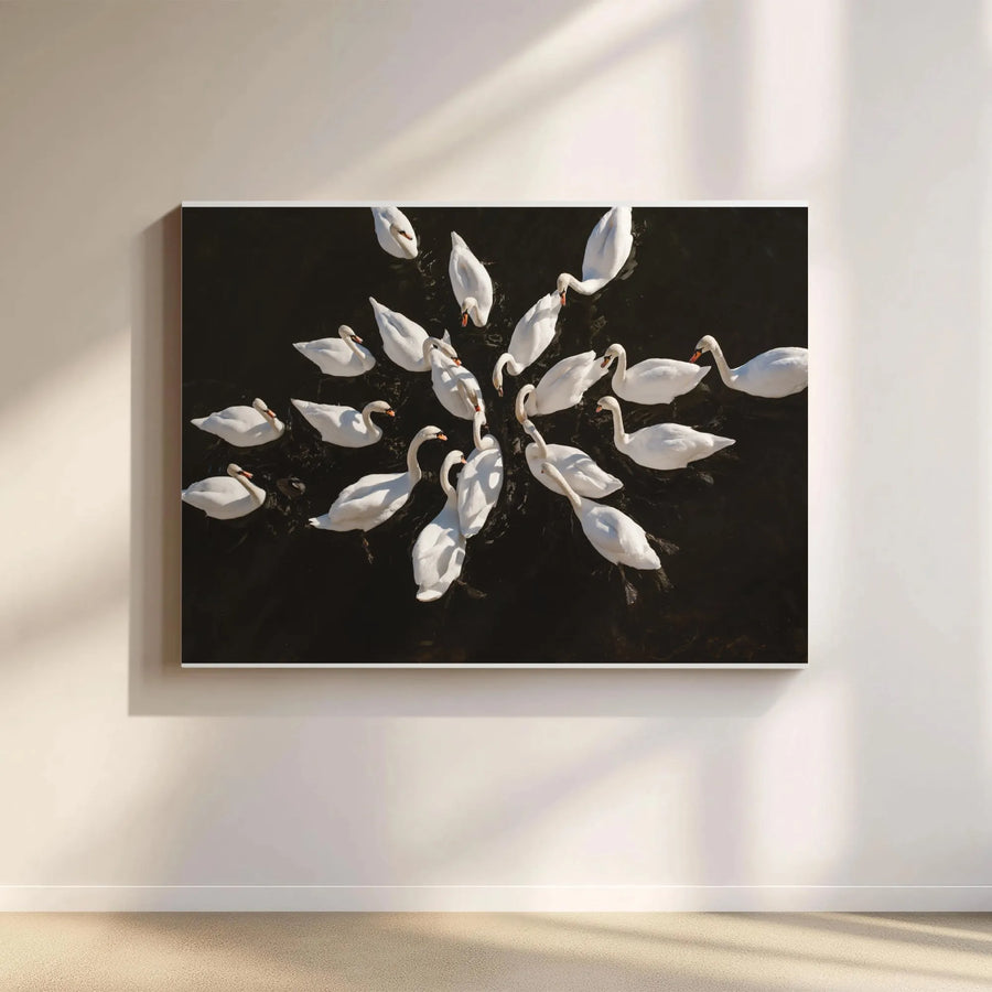 Swans Canvas Wall Art | Aerial Swan Photography Print | Premium Gallery Wrapped Canvas | Modern Farmhouse Living Room Decor Gift