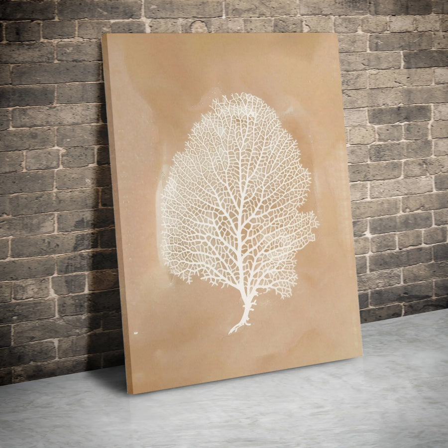 Sea Fan Coral Wall Art | Minimalist Beige and White Coastal Decor | Premium Gallery Wrap Canvas | Modern Beach House Living Room Decor